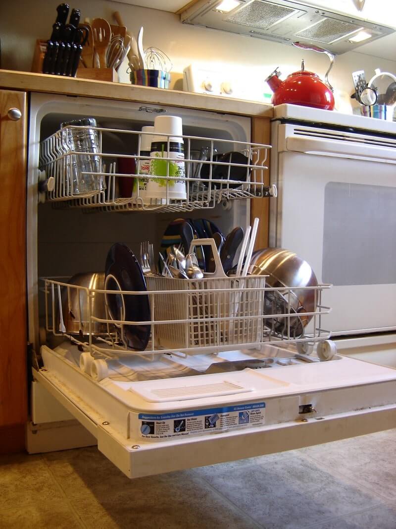Dishwashers Cockroach Infestation 